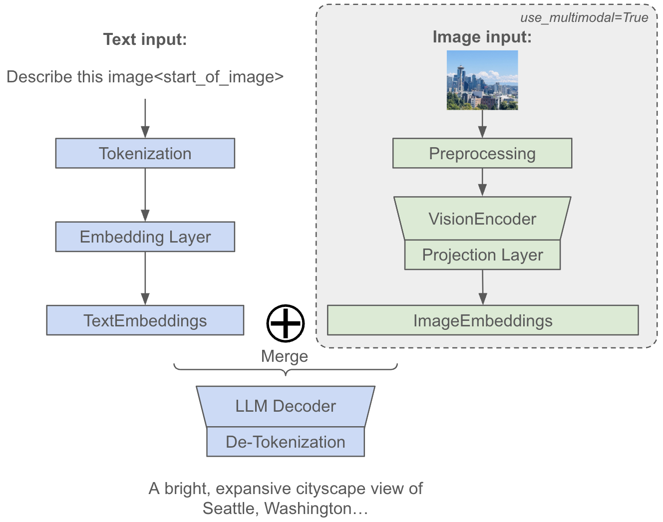 Illustration of multimodal MaxText.